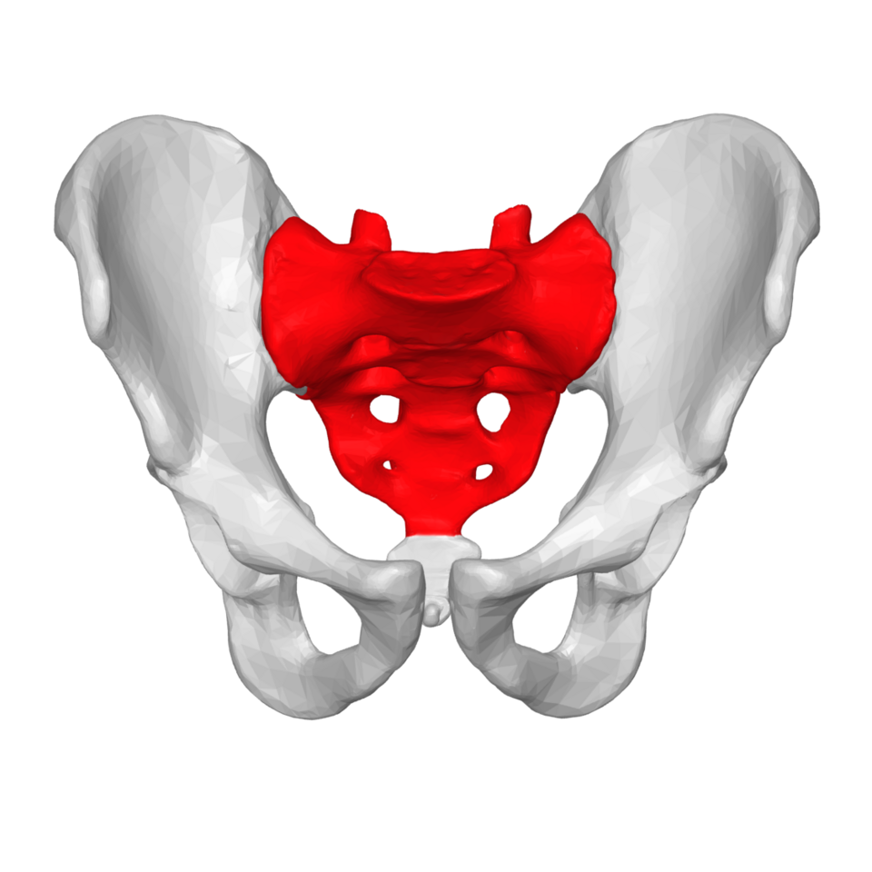 Sacral Mechanics