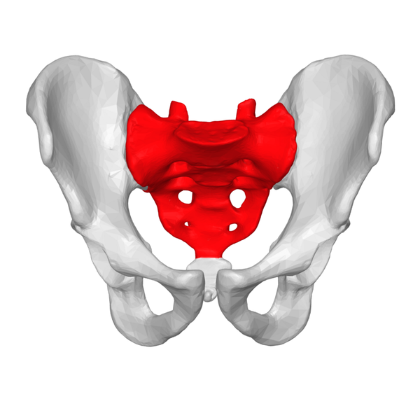 Sacral Mechanics